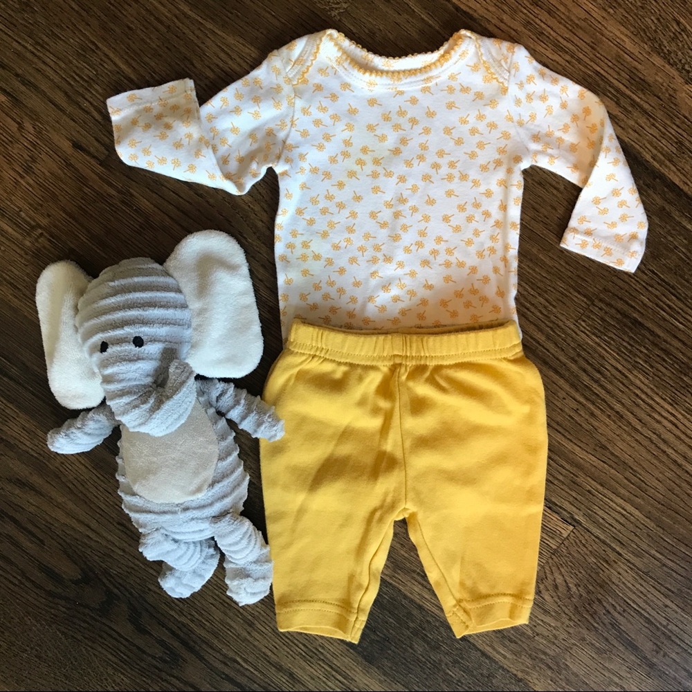 Newborn girls dandelions matching set